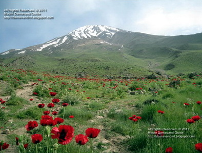 Damavand Mountain in Spring